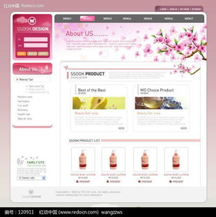 專業(yè)日化洗滌用品網(wǎng)頁模板設(shè)計下載與網(wǎng)絡(luò)技術(shù)服務(wù)解析